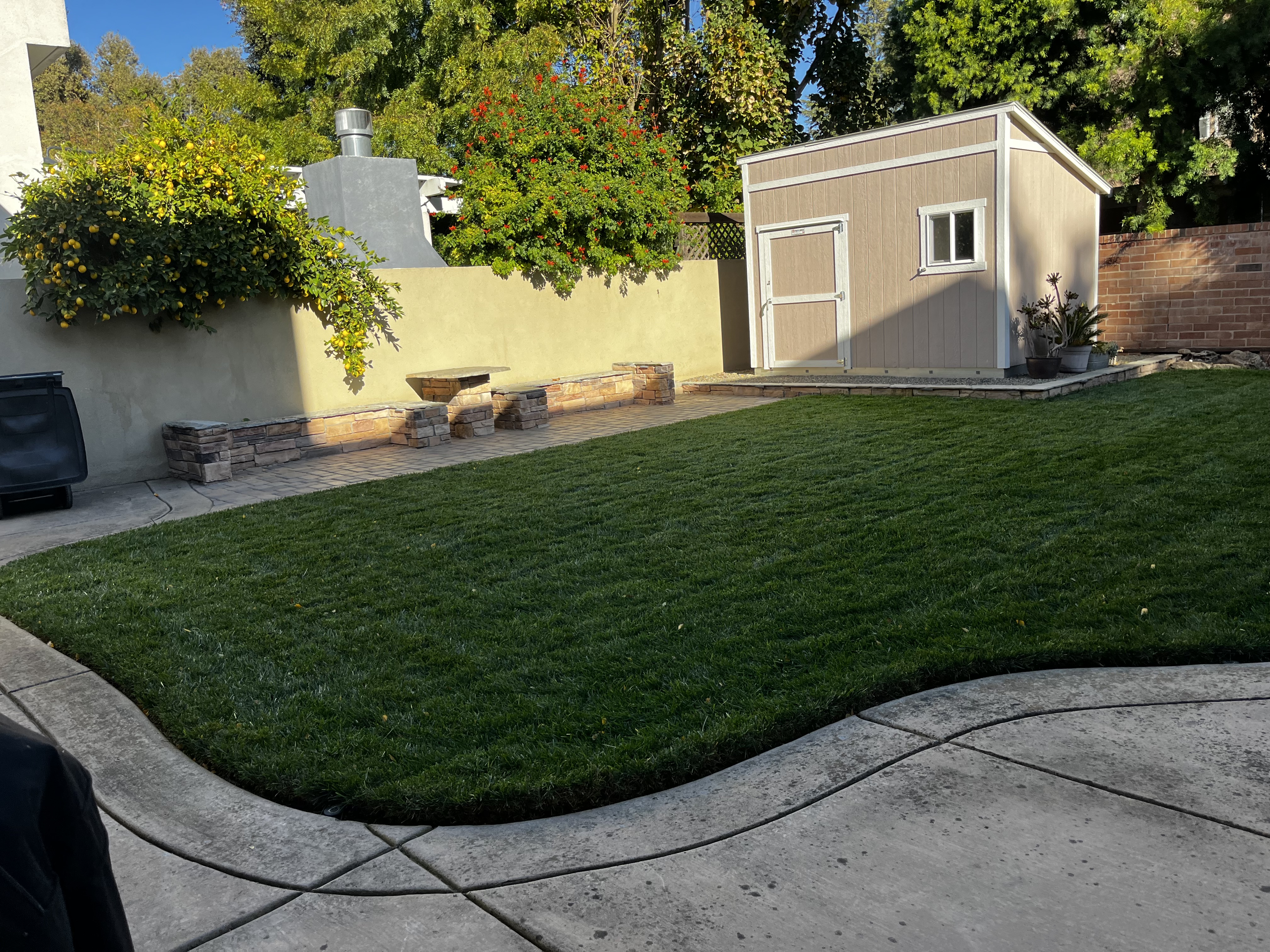 Lawn Maintenance